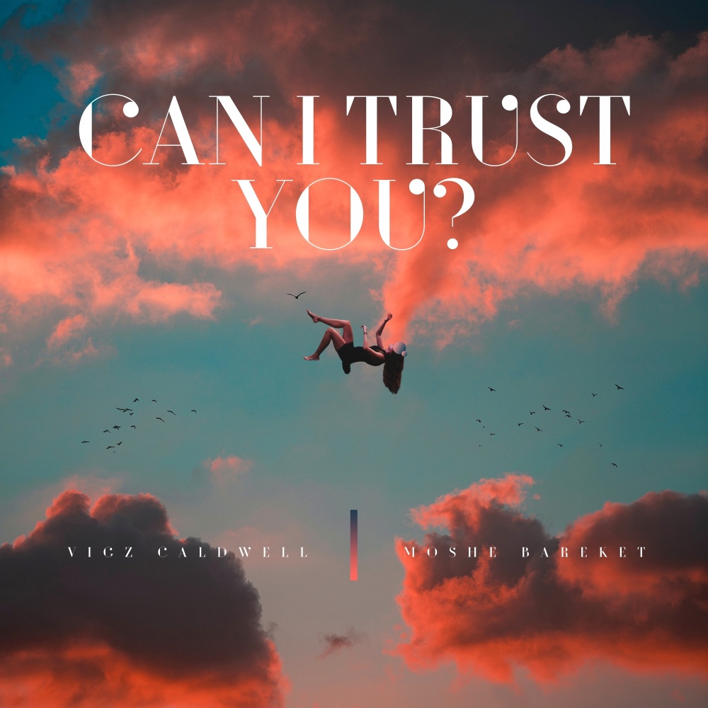 Can I Trust You?