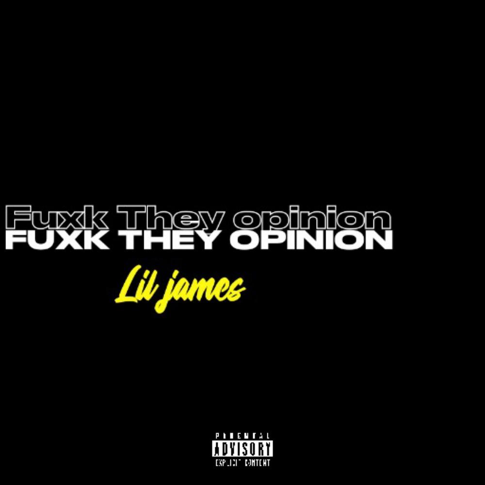 Fuxk They Opinion (Explicit)