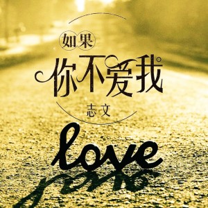 Listen to 如果你不爱我 song with lyrics from 志文