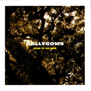 ดาวน์โหลดและฟังเพลง Tandoori's Choice พร้อมเนื้อเพลงจาก Gallygows
