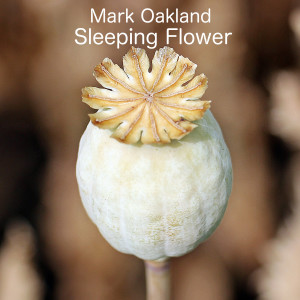 收听Mark Oakland的Sleeping Flower歌词歌曲
