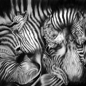 Album Zorse from 