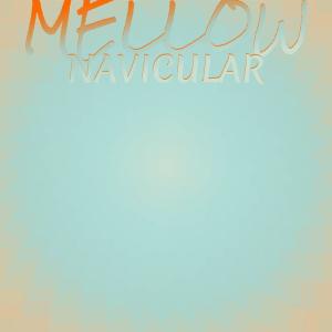 Album Mellow Navicular from Various
