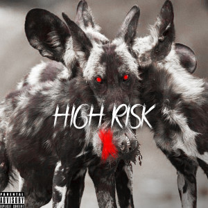 Album High Risk from Mooky