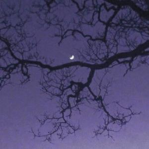 收听Bet的Drowning (slowed + reverb)歌词歌曲