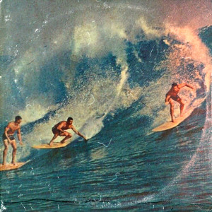 Album Surfing Leash from Dani Desh