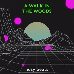 ดาวน์โหลดและฟังเพลง A Walk In The Woods พร้อมเนื้อเพลงจาก nosy beats