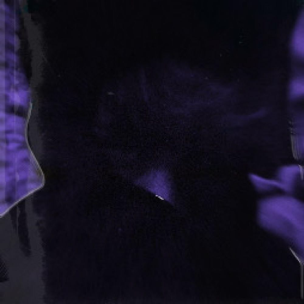 Perceptions (feat. SPiDERGOTTACHILL) (Explicit)