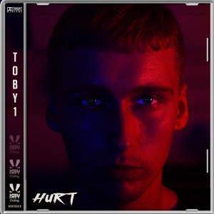ดาวน์โหลดและฟังเพลง Hurt พร้อมเนื้อเพลงจาก Toby1
