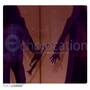 ดาวน์โหลดและฟังเพลง Lucid Tide พร้อมเนื้อเพลงจาก Echolocation