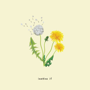 อัลบัม imagine if ศิลปิน gnash