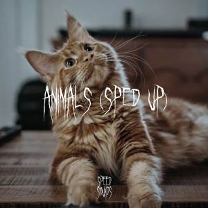 Speedy Jack的专辑Animals (Sped Up)