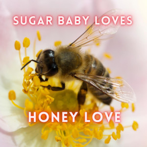 Listen to "Honey Love" song with lyrics from Sugar Baby Loves