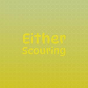 Album Either Scouring from 