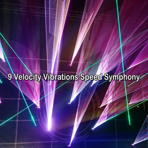 Album 9 Velocity Vibrations Speed Symphony from The Gym All Stars
