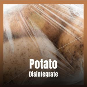 Album Potato Disintegrate from Saira Naga
