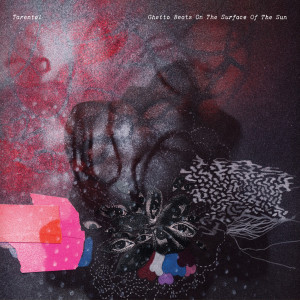 ดาวน์โหลดและฟังเพลง A Crystal The Size Of Our Moon In The Heart Of A Pulsating White Dawrf พร้อมเนื้อเพลงจาก Tarentel