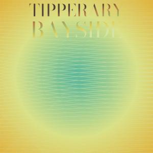 Various Artists的專輯Tipperary Bayside