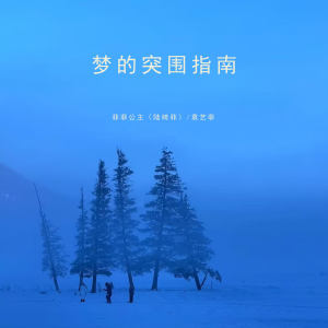 菲菲公主的专辑梦的突围指南