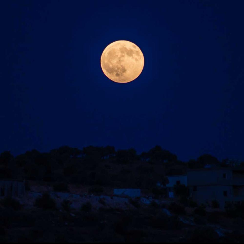 To The Moon (feat. Mo'riya Chrissy) (Explicit)