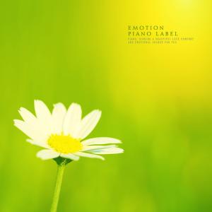 Album A Touching Piano from 