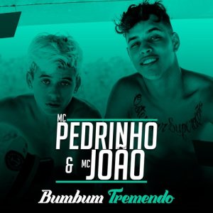 ดาวน์โหลดและฟังเพลง Bumbum Tremendo พร้อมเนื้อเพลงจาก MC Pedrinho
