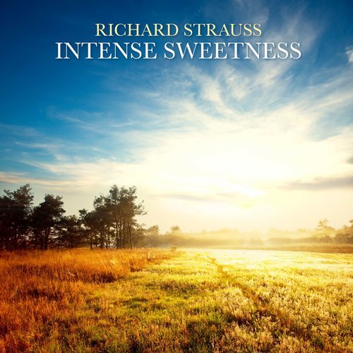 Violin Concerto In D Minor, Op. 8: III. Rondo. Presto