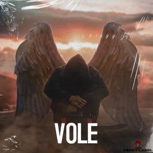 Dengarkan Vole lagu dari Dj Fouzi dengan lirik