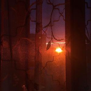 Album wanna die at night from inownlove