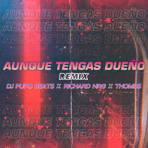 Aunque Tengas Dueño (Remix)