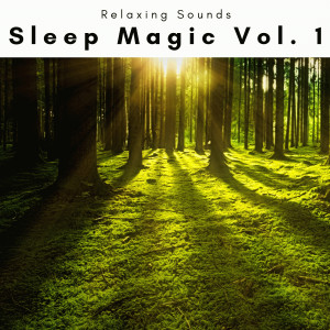 1 Sleep Magic Vol. 1