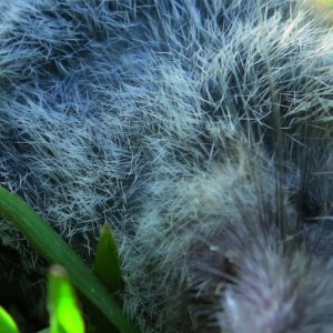 ดาวน์โหลดและฟังเพลง 05.23 พร้อมเนื้อเพลงจาก N