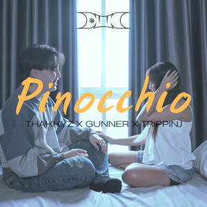 Listen to พิน็อคคิโอ song with lyrics from THAKKYZ
