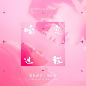 Listen to 暗恋过程 (伴奏) song with lyrics from 黎林添娇