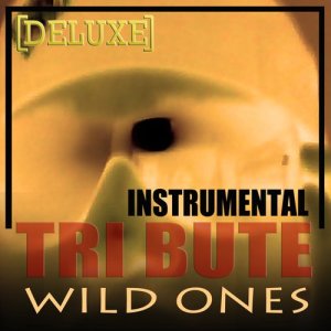ดาวน์โหลดและฟังเพลง Wild Ones - Instrumental พร้อมเนื้อเพลงจาก The Hit Club