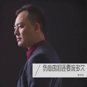 魯曉鋒的專輯傷心的淚還要流多久