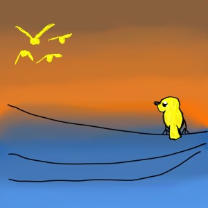 Album lone bird from 