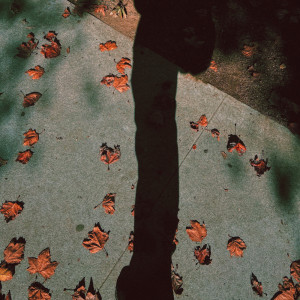 Album tell me to fall and i will from Laeland