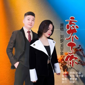 劉俊的專輯忘不了你(合唱版)