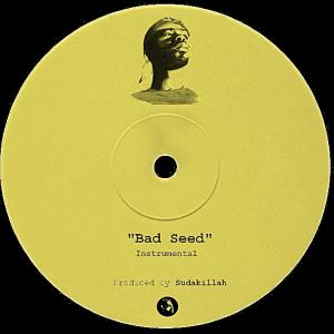 收聽SUDAKILLAH的Bad Seed歌詞歌曲