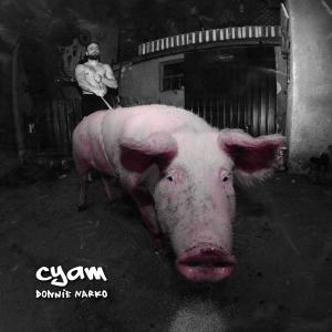 收聽Cyam的Raprezent (feat. Bvana & Dj Munja)歌詞歌曲