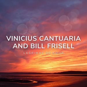 Listen to Briga de Namorados song with lyrics from Vinicius Cantuaria