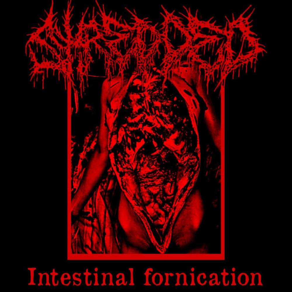 Decrepit Carcass