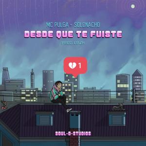 ดาวน์โหลดและฟังเพลง Desde que te Fuiste พร้อมเนื้อเพลงจาก SoloNacho