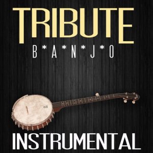 ดาวน์โหลดและฟังเพลง Banjo - Instrumental พร้อมเนื้อเพลงจาก The Flat Banjos