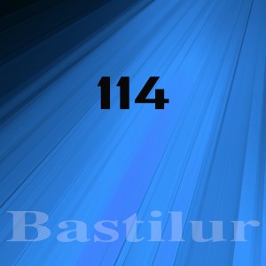 Various的專輯Bastilur, Vol.114