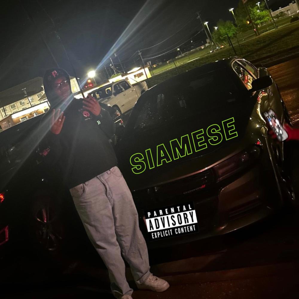 Siamese (Explicit)