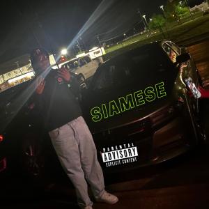 WE$$的專輯Siamese (Explicit)