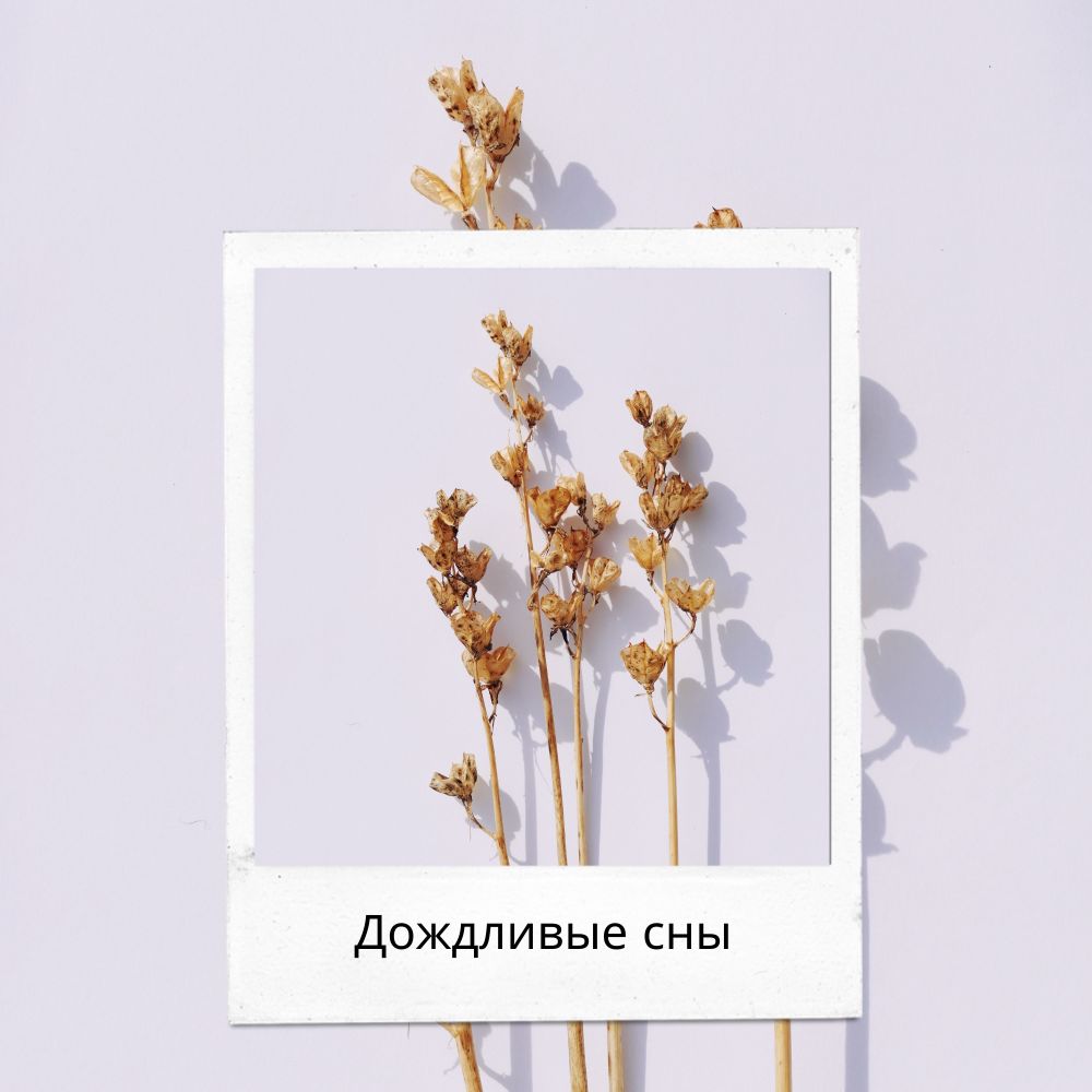 Спокойный дождь