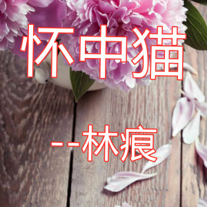 收听林痕的怀中猫歌词歌曲